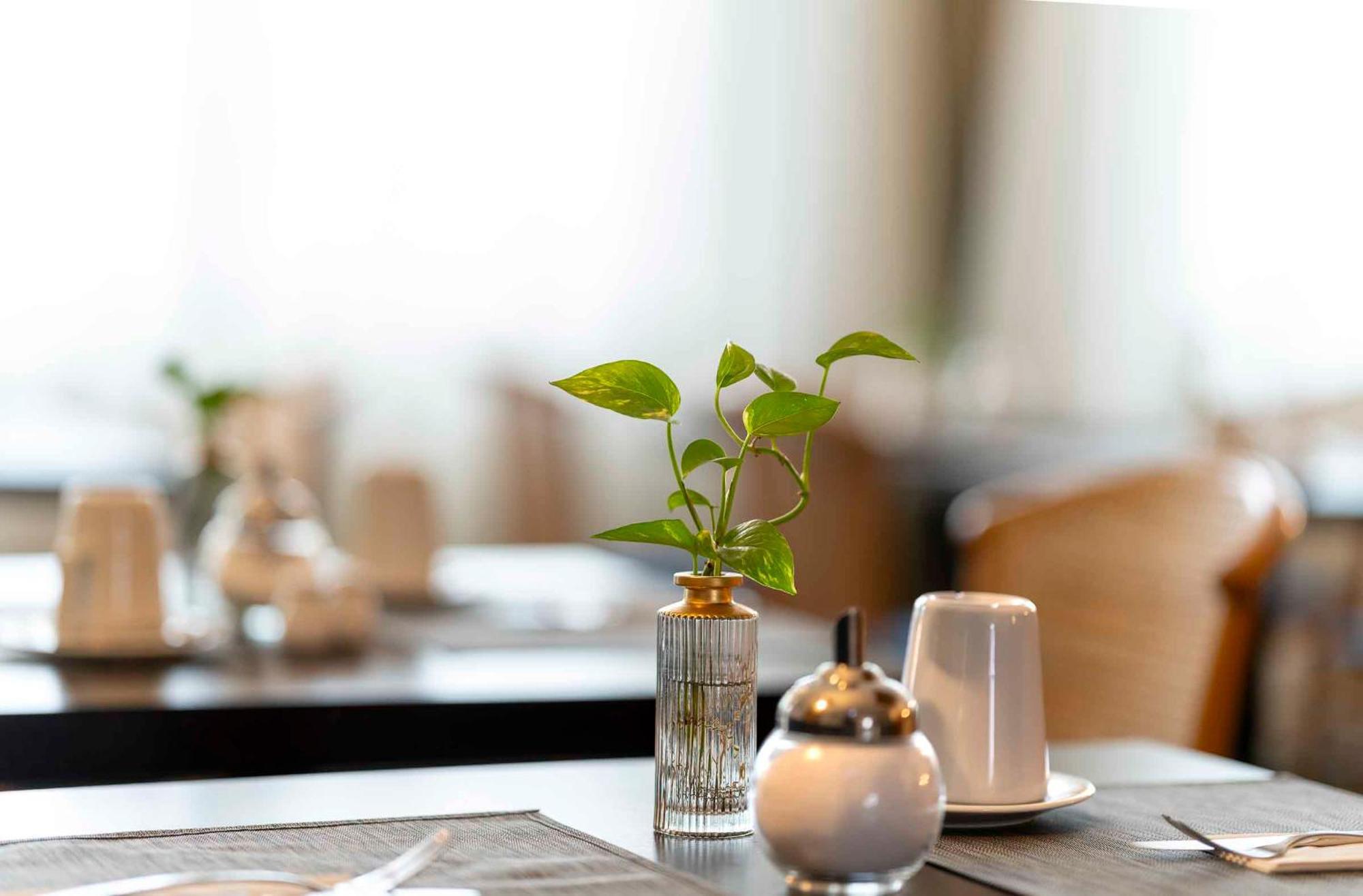 Plaza Inn Blankenburg Ditzingen, Sure Hotel Collection מראה חיצוני תמונה
