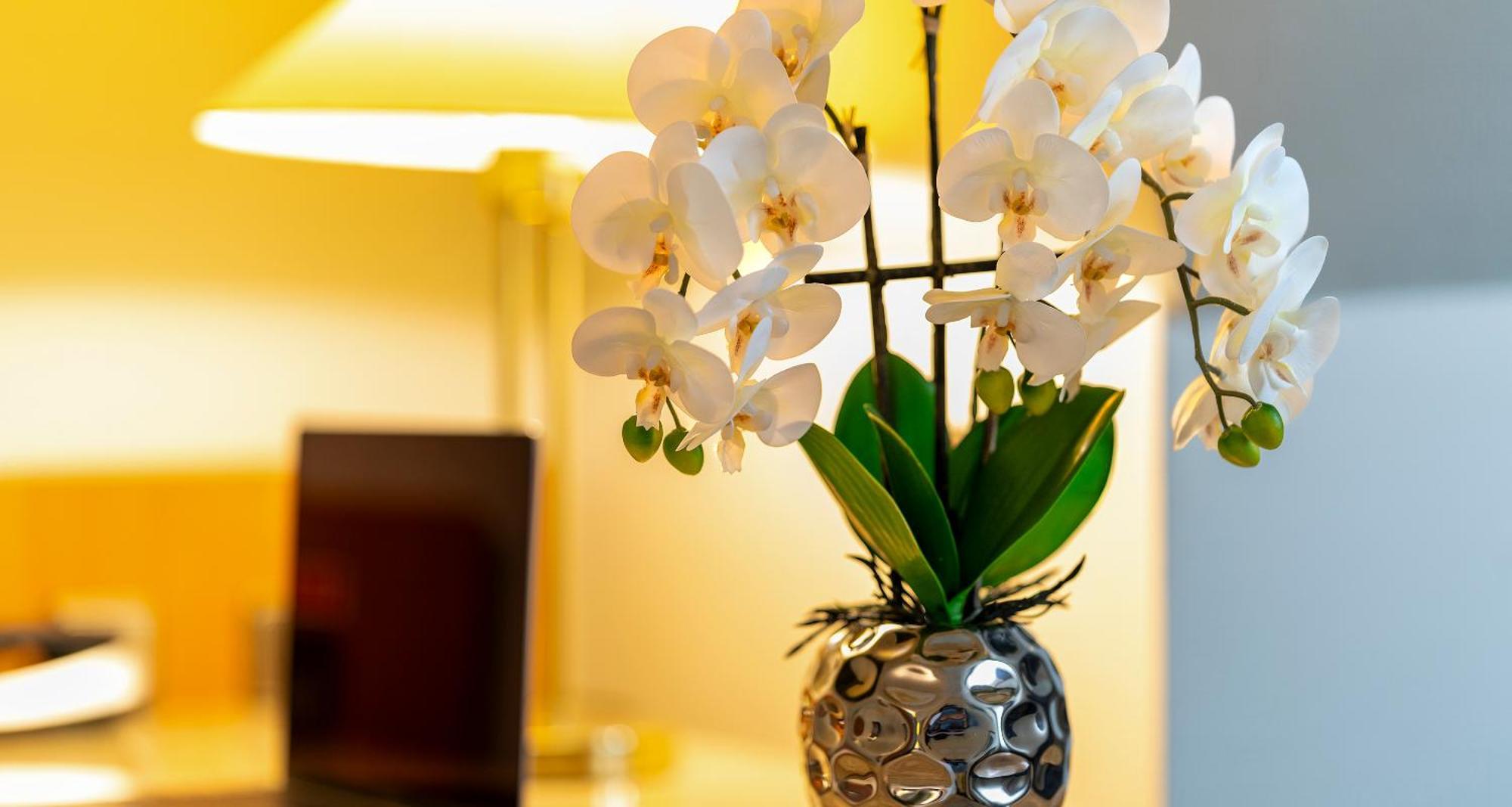 Plaza Inn Blankenburg Ditzingen, Sure Hotel Collection מראה חיצוני תמונה
