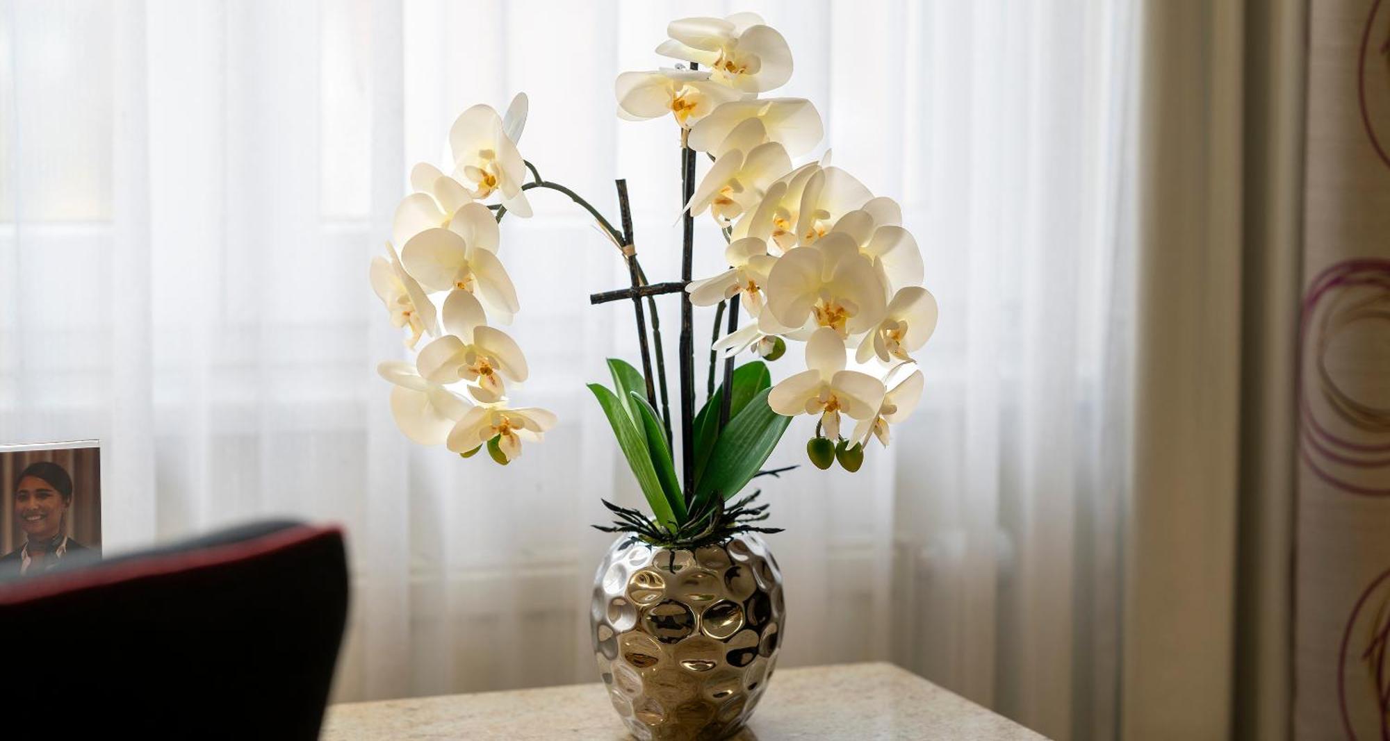 Plaza Inn Blankenburg Ditzingen, Sure Hotel Collection מראה חיצוני תמונה